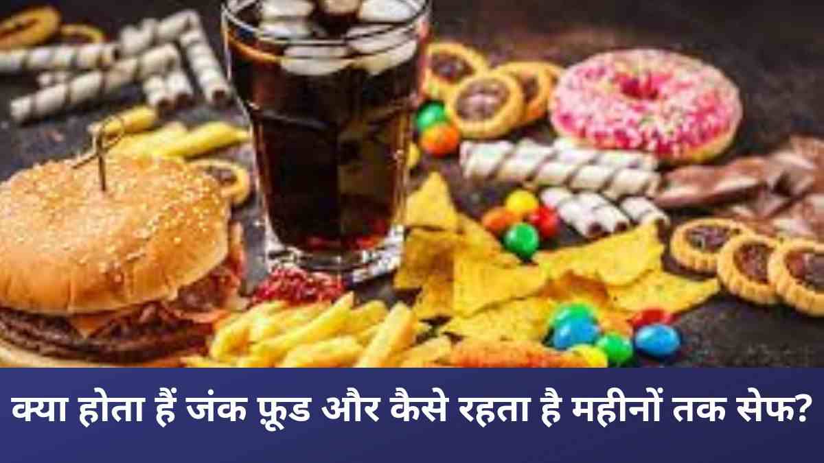 Science in daily life: क्या होता हैं जंक फ़ूड और कैसे रहता है महीनों तक फ़ूड सेफ?